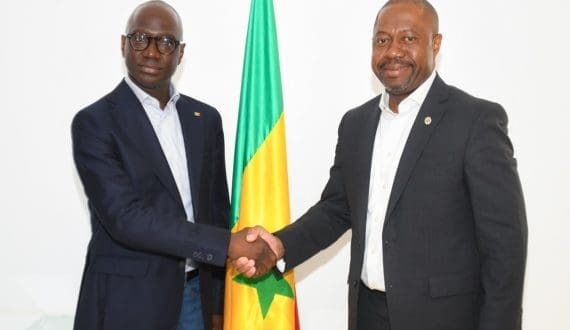 Thumbnail for Gabon looks to Senegal as it prepares poultry import ban in 2027