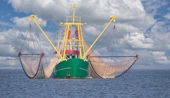 Thumbnail for UK, EU reopen fisheries dialogue with focus on joint priorities