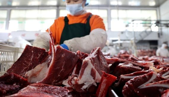 Thumbnail for Brazilian beef exports reach record volume in February 2026 – Secretariat of Foreign Trade
