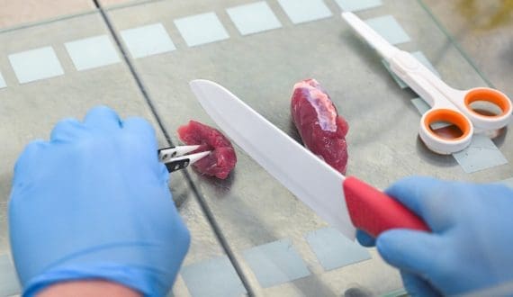 Thumbnail for Cultivated meat could hit UK menus by 2027 – FSA