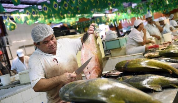Thumbnail for Brazil surpasses 1 million tonnes of farmed fish in 2025