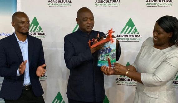 Thumbnail for Zimbabwe launches US$5M tilapia development plan