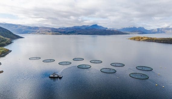 Thumbnail for Scottish Aquaculture Cluster receives US$8.7M funding from Crown Estate Scotland