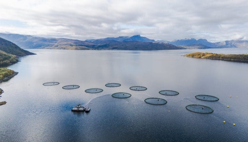 Thumbnail for Scottish Aquaculture Cluster receives US$8.7M funding from Crown Estate Scotland