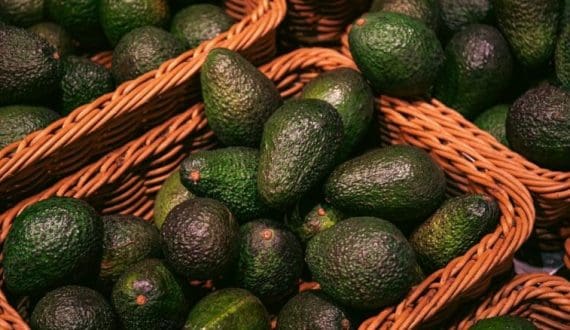 Thumbnail for Kenyan avocado exporters face logistics crisis, use trial shipments to test Red Sea routes