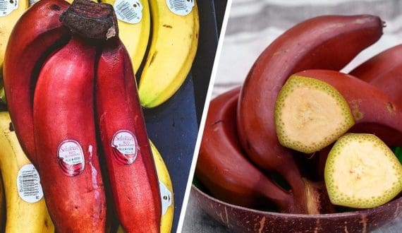 Thumbnail for Ecuadorian red bananas enter Belarus retail as premium alternative with distinct nutritional advantages   