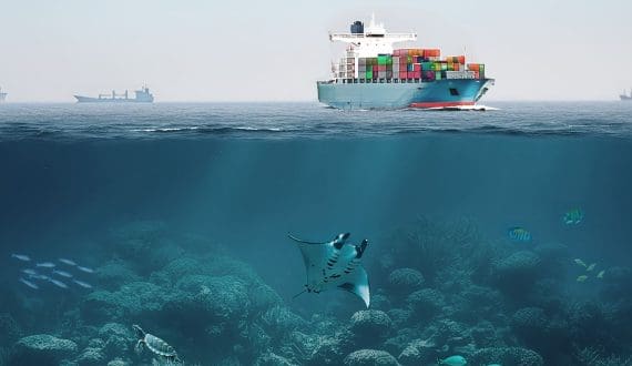 Thumbnail for DP World joins MACS initiative to cut maritime plastic waste across global ports