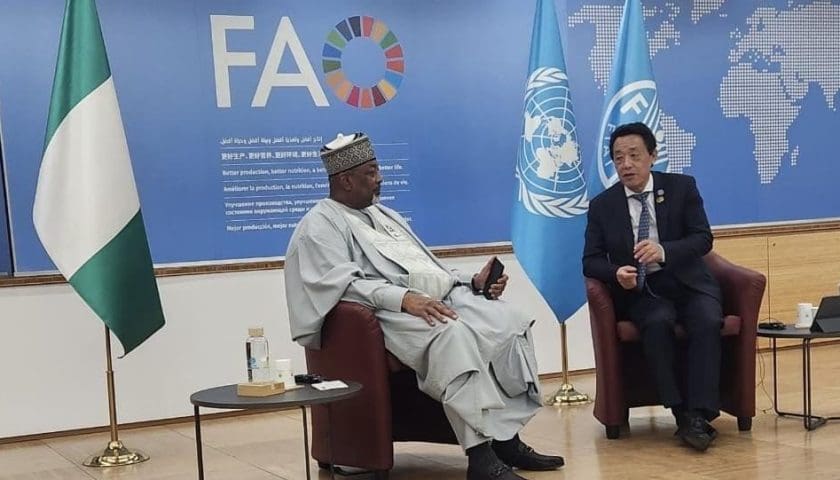 Thumbnail for Nigeria, FAO alliance targets climate-smart agriculture, irrigation expansion