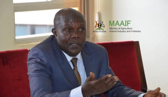 Thumbnail for Uganda targets US$700B Agro market by 2033, but production gaps persist