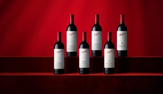 Thumbnail for Treasury Wine Estates shares surge 17% after recovery plan, regional restructuring strategy 