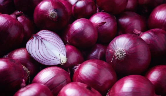 Thumbnail for Argentina launches Tinta INTA red onion with mild flavour, 48-ton yield