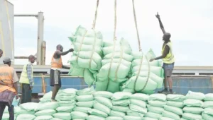 South Africa to raise sugar import reference price to US$785