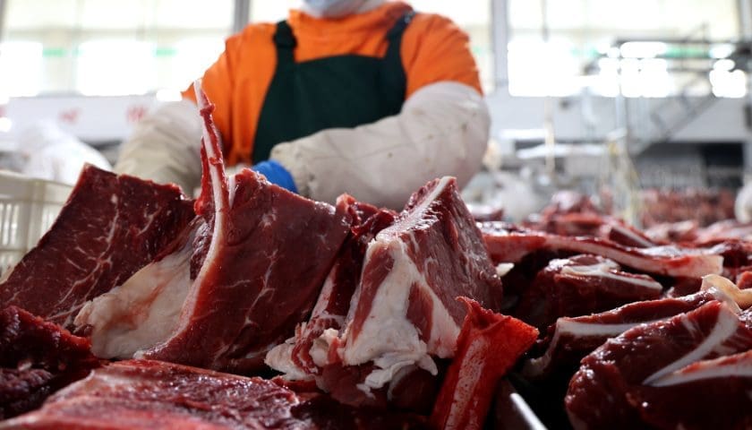 Thumbnail for Namibia’s Meatco reaches 45.2% of Norway beef quota by April as financial recovery continues