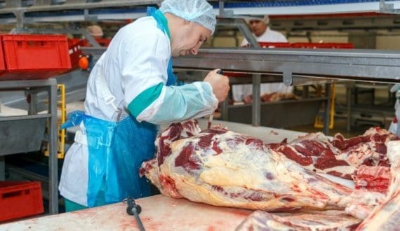 Thumbnail for MBRF expands Uruguay beef plant in US$70m upgrade as asset sale plan stalls
