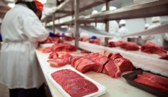 Thumbnail for Ethiopia opens market for Brazilian meat, other exports