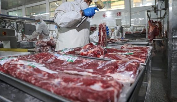 Thumbnail for MBRF expands Saudi supply deal to include beef, doubles poultry volumes