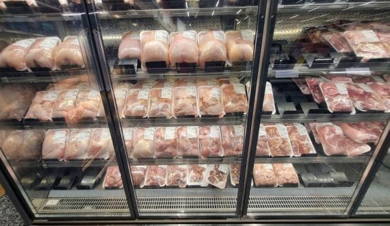 Thumbnail for JBS’s Seara introduces premium chilled chicken trays to reshape Brazil’s retail market