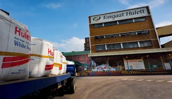 Thumbnail for Tongaat Hulett secures funding extension, halts liquidation proceedings until June 2026 