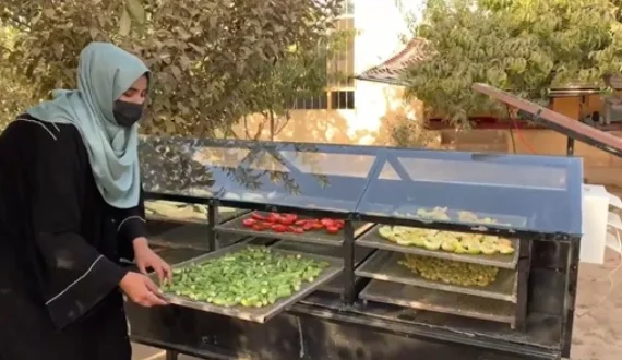 Thumbnail for Middle East solar vegetable dryer market to hit US$180M by 2034