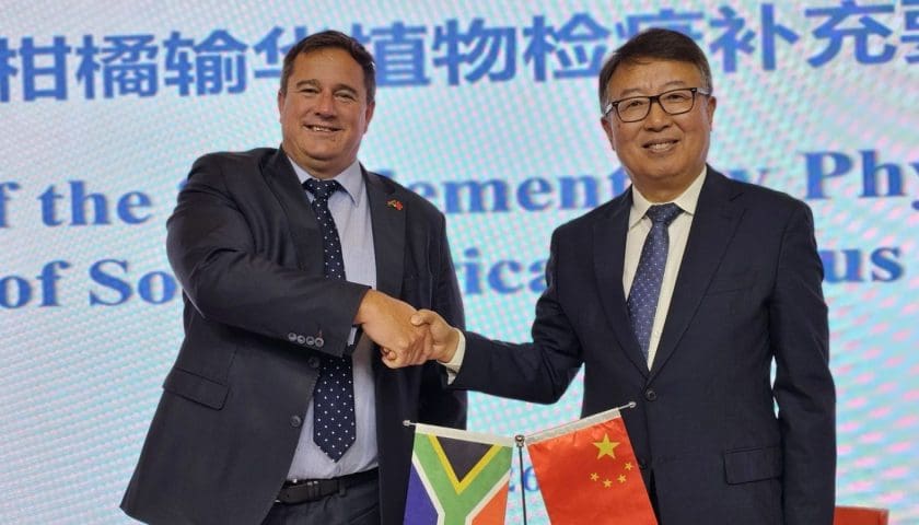 Thumbnail for South Africa’s citrus gains expanded China market access through a new phytosanitary deal 