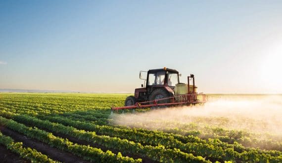 Thumbnail for China improves pesticide practices to support exports as usage declines for eight years