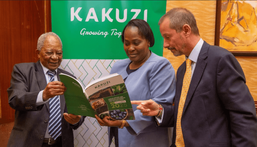 Thumbnail for Kakuzi diversification strategy boosts profits as avocado, macadamia, blueberry revenues surge