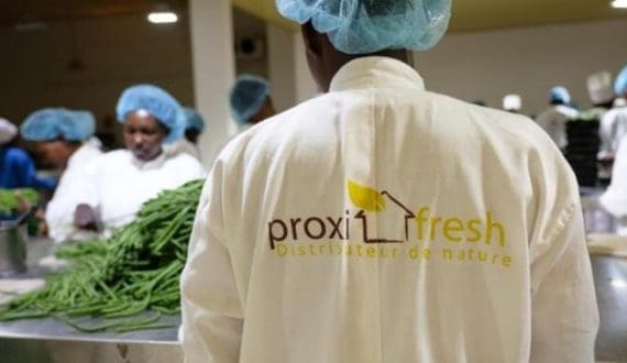 Thumbnail for Scott & Co expands into fresh produce with acquisition of Proxifresh