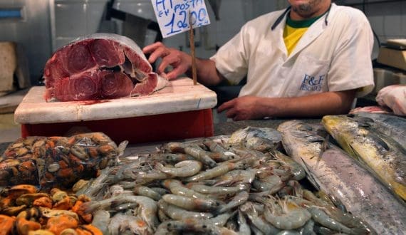 Thumbnail for Brazil seafood output passes 4.8 million tons as shrimp, tilapia and tambaqui dominate sales