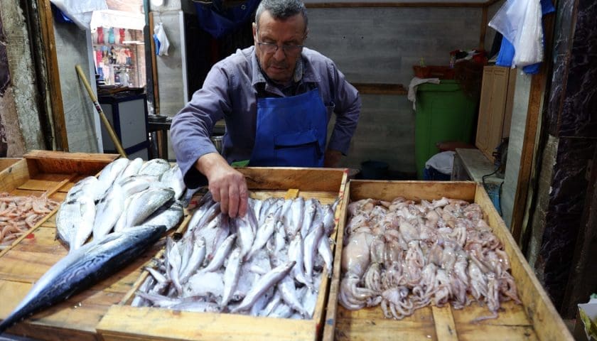 Thumbnail for Algeria targets expansion of aquaculture output to 20,000 tonnes by 2026