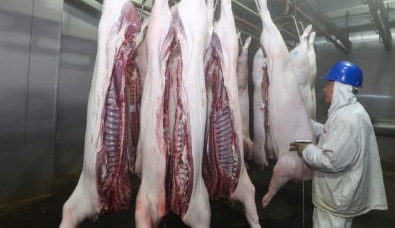 Thumbnail for Vall Companys enters Argentina pork sector deal with Pacuca