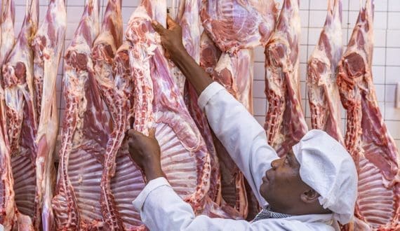 Thumbnail for Cameroon secures US$18.7 million loan for industrial slaughterhouse in Maroua