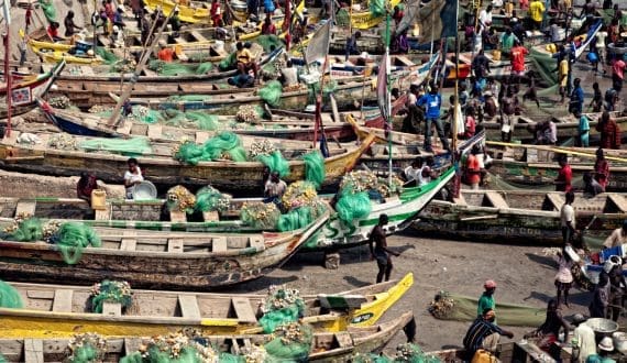 Thumbnail for SADC ministers to discuss food security, livestock disease and fisheries at Zimbabwe summit