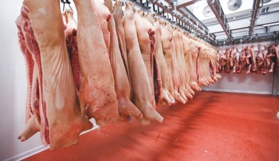 Thumbnail for EU pork output projected to fall 1% in 2026 as exports weaken