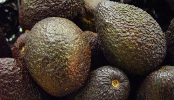 Thumbnail for Tanzania targets 235,000 tons of avocados by 2026/27 with 1.7 million seedlings 