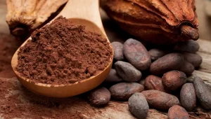 Ghana raises cocoa producer price for 2026/27 season