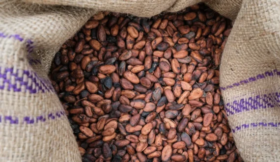 Thumbnail for Lindt & Sprüngli achieves 100% Rainforest Alliance certification for cocoa sourcing  