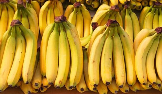 Thumbnail for Cameroon banana exports rise 1.5% as smaller producers offset PHP drought decline