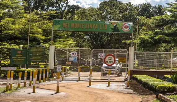 Thumbnail for Kenyan court rules in Del Monte’s favour in US$2.09M tax dispute