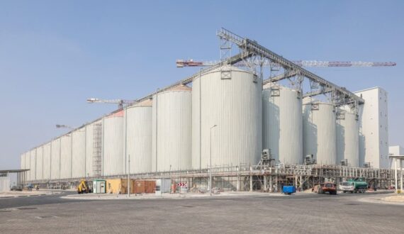 Thumbnail for Hamad Port integrates dedicated berth, processing plants for national food stability