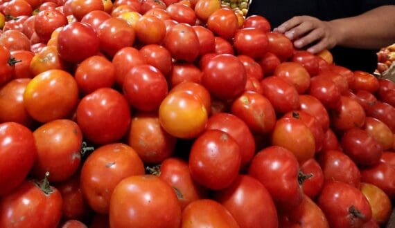Thumbnail for Nigerian tomato prices rise as flooding disrupts supply, forcing consumers to seek cheaper alternatives