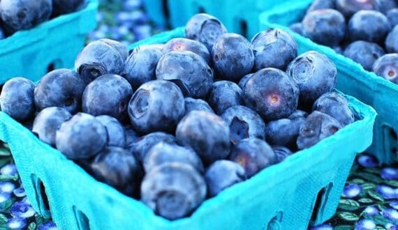 Thumbnail for Zimbabwean berry exports generate US$38M as blueberry protocol expands China trade