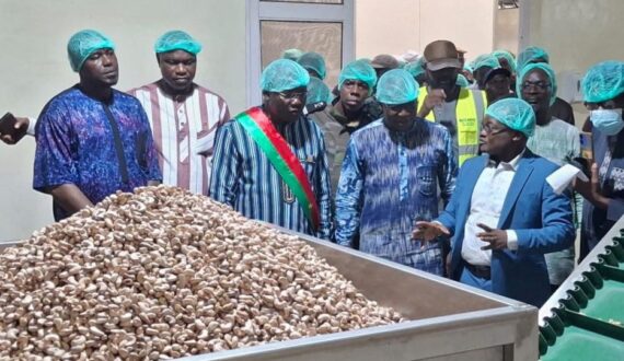 Thumbnail for Gebana Faso commissions new cashew, mango processing complex in Burkina Faso 