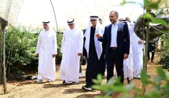 Thumbnail for Elite Agro opens seventh Moroccan farm in Kenitra with US$136M berry investment