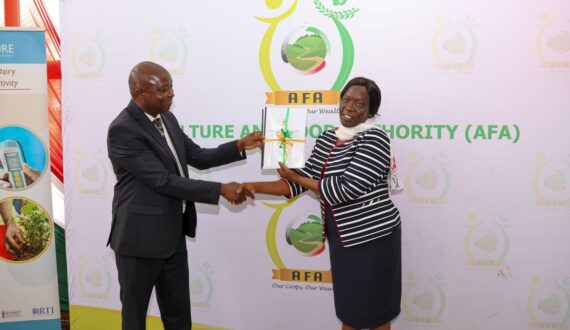 Thumbnail for Kenya launches digital traceability system to boost horticulture exports, cut pest interceptions