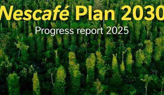 Thumbnail for COCEFAAA warns cocoa prices could surpass $10,000/Tonne as Africa farmers face investment shortfall 