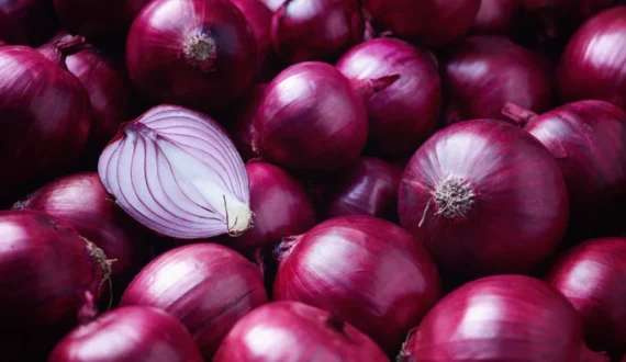 Thumbnail for Egyptian fresh onion exports exceed 85,000 tons as new market access drives growth