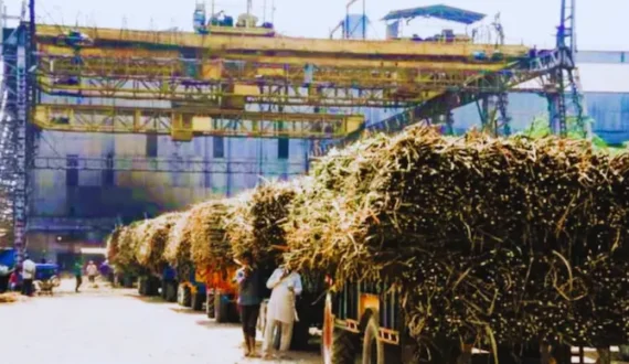 Thumbnail for Bihar launches sugar industry incentive policy, investment support 