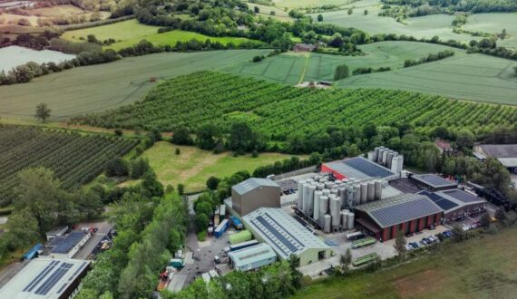 Thumbnail for Suntory invests US$14.5M in new blackcurrant processing facility 