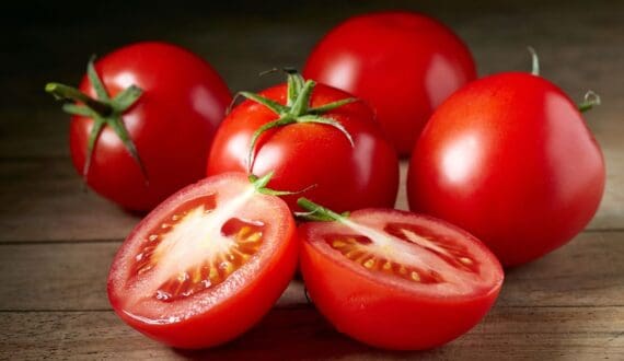 Thumbnail for Nigerian tomato prices expected to fall from October as harvest season begins