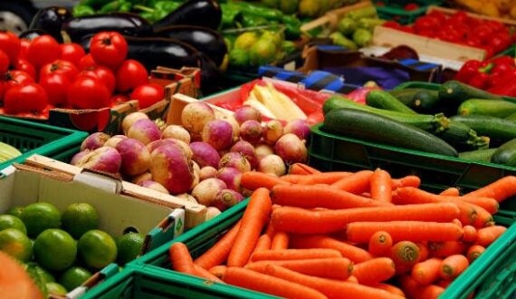 Thumbnail for China targets high-value agricultural exports by 2030 as trade deficit narrows nearly 24%